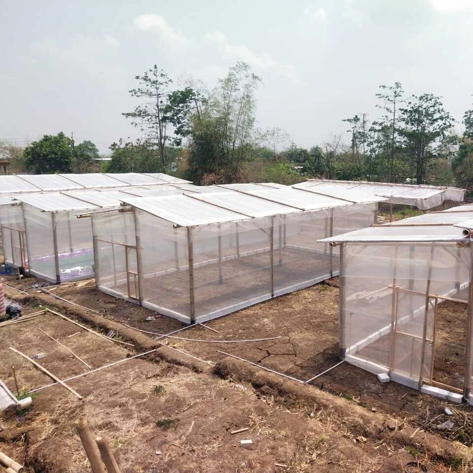 Pemasangan dan pemeliharaan, serta garansi Greenhouse selama enam bulan dari kerusakan