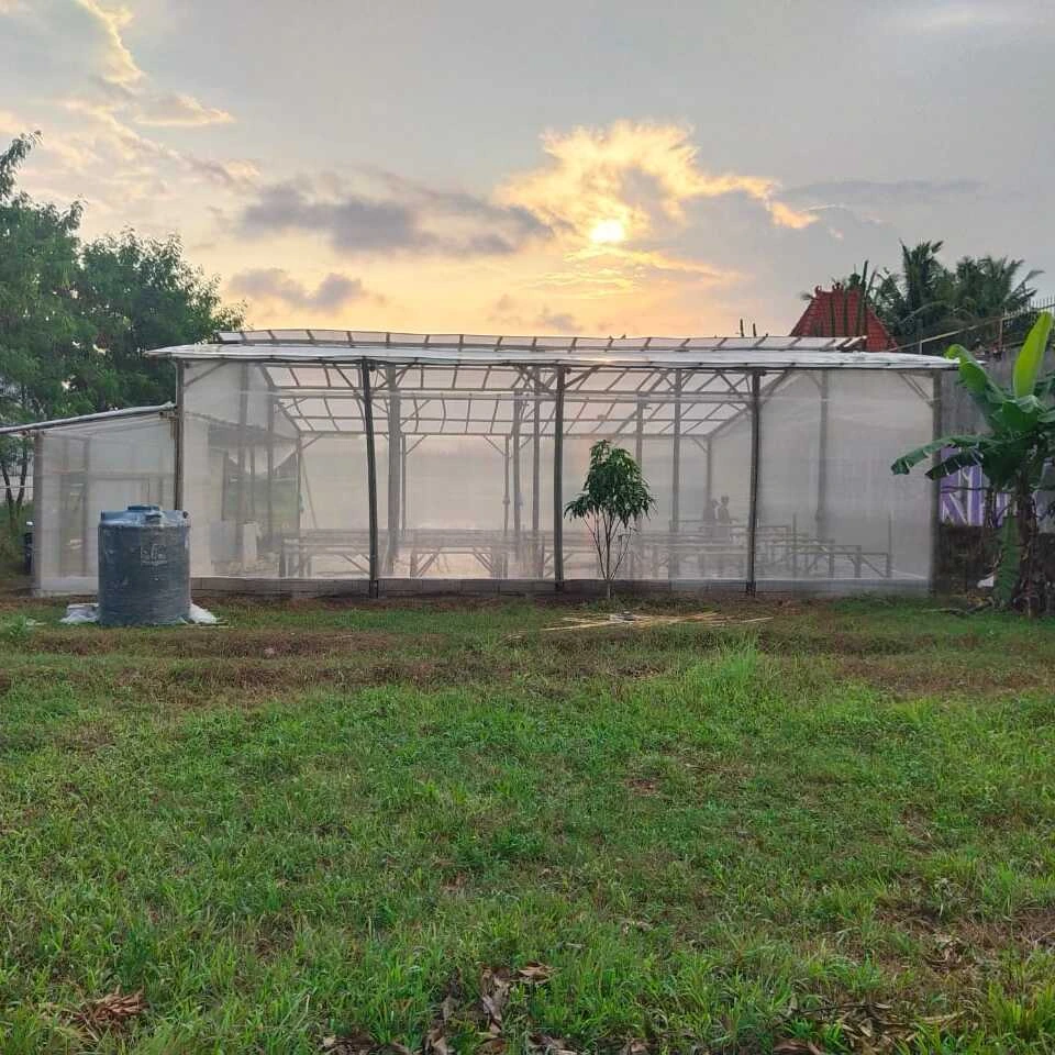 Bambu sangat ramah lingkungan dan memiliki nilai estetika tersendiri